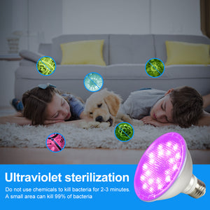 Household strong ultraviolet sterilization lamp solve invisible bacteria Portable Home UV Germicidal Lamp Desktop Mobile Disinfection lamp