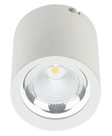 LED Surface Mounted Downlight Ceiling Light MZ 10W/20W/30W/40W